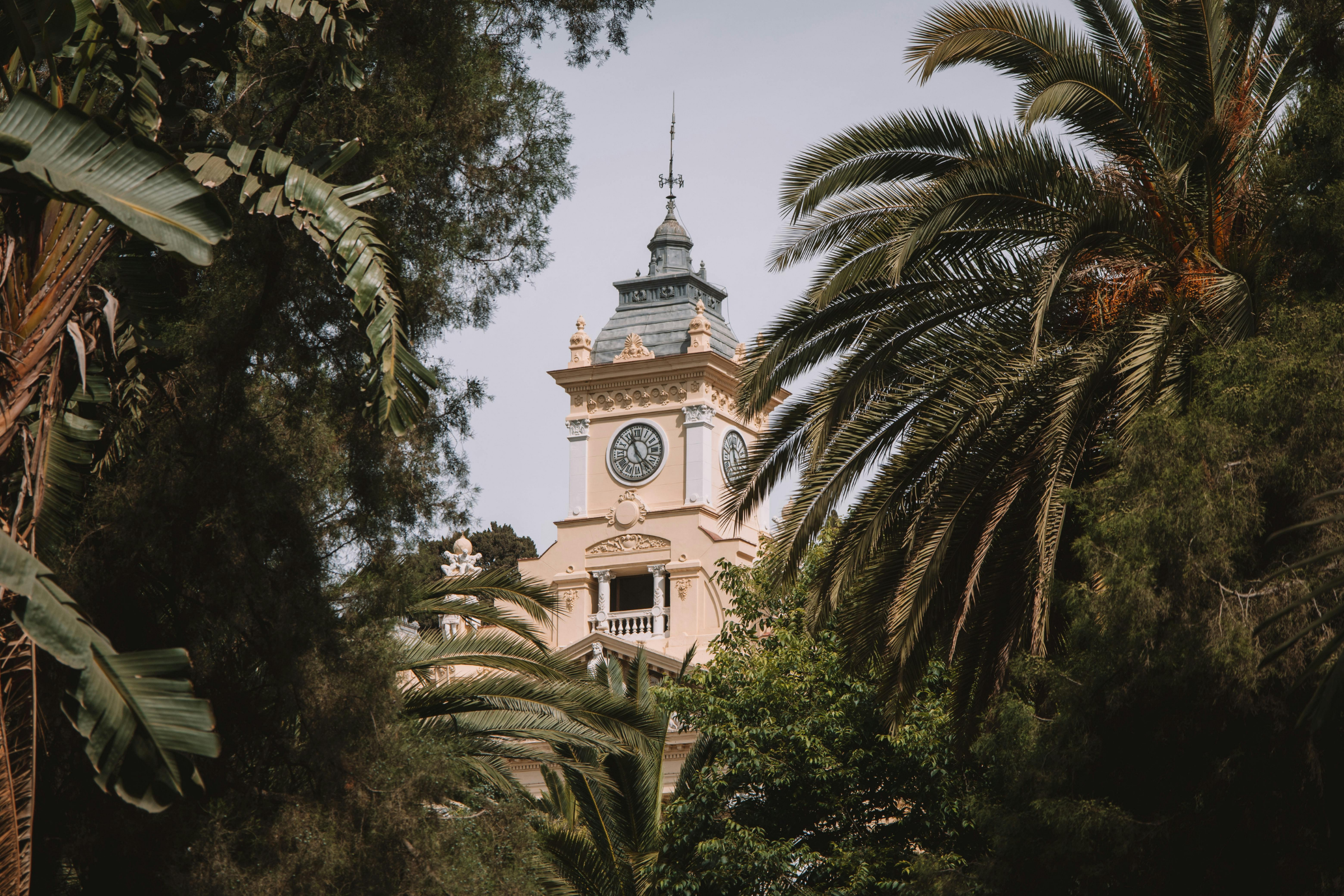 abra malaga (4).webp